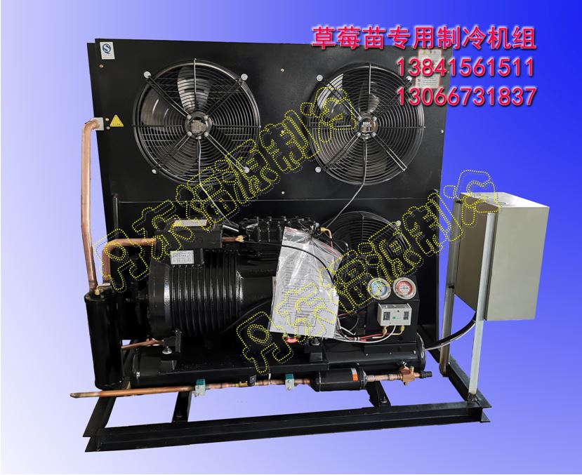 草莓苗專用制冷機(jī)組