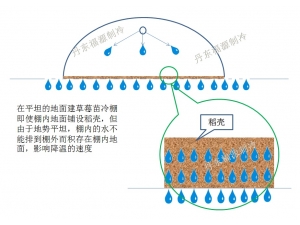 　草莓苗打冷棚的選址